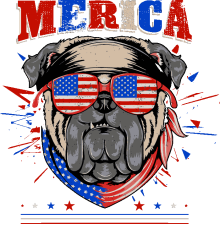 Pugs Rockeros y Patriotas
